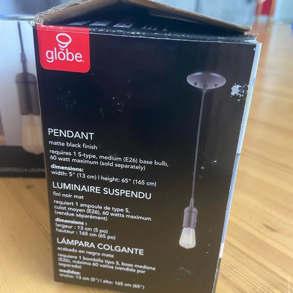 Globe Black Edison Pendant Light